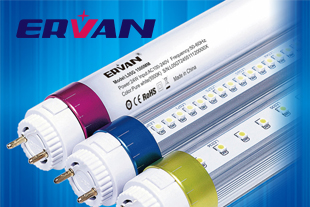 Ervan group 