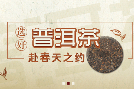 貴州茶資源交易中心